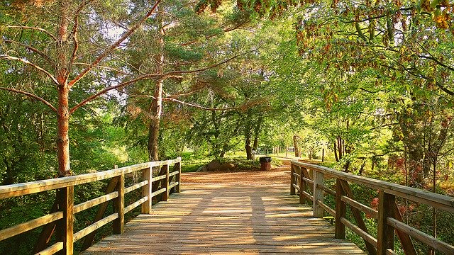 무료 다운로드 Britz Garden Park Nature New - 무료 사진 또는 GIMP 온라인 이미지 편집기로 편집할 수 있는 사진