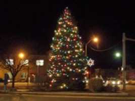 Free download Broadway / Henry St, Christmas Tree 2007 free photo or picture to be edited with GIMP online image editor