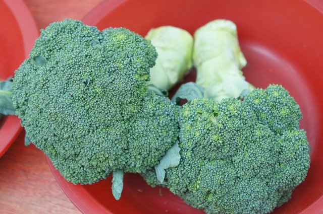 ดาวน์โหลด Broccoli ผัก Market ฟรี - ภาพถ่ายหรือภาพฟรีที่จะแก้ไขด้วยโปรแกรมแก้ไขรูปภาพออนไลน์ GIMP