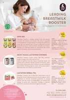 Free download Brochure Mamabear 1019 free photo or picture to be edited with GIMP online image editor
