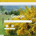 Broom  screen for extension Chrome web store in OffiDocs Chromium