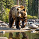 Brown bear by the stream  screen for extension Chrome web store in OffiDocs Chromium