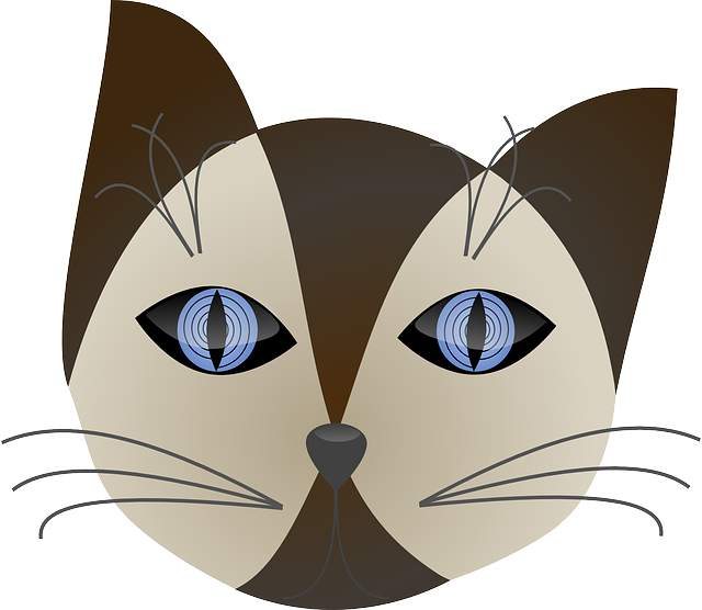 Descarga gratuita Gato Marrón Hipnotizante - Gráficos vectoriales gratis en Pixabay ilustración gratuita para editar con GIMP editor de imágenes en línea gratuito