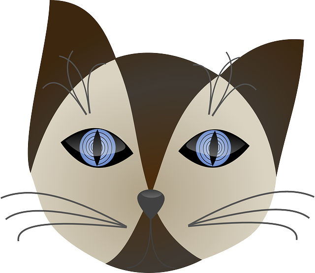 Free download Brown Cat Hypnotizing - Free vector graphic on Pixabay free illustration to be edited with GIMP free online image editor