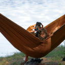 Brown hammock  screen for extension Chrome web store in OffiDocs Chromium