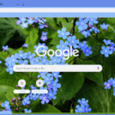 Brunnera  screen for extension Chrome web store in OffiDocs Chromium