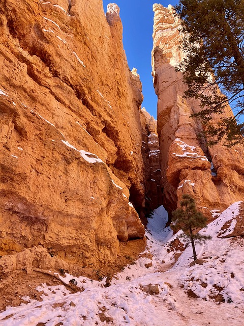 Free download bryce utah canyon travel tourism free picture to be edited with GIMP free online image editor
