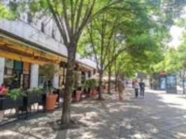 Free download btdryyioyobk free photo or picture to be edited with GIMP online image editor