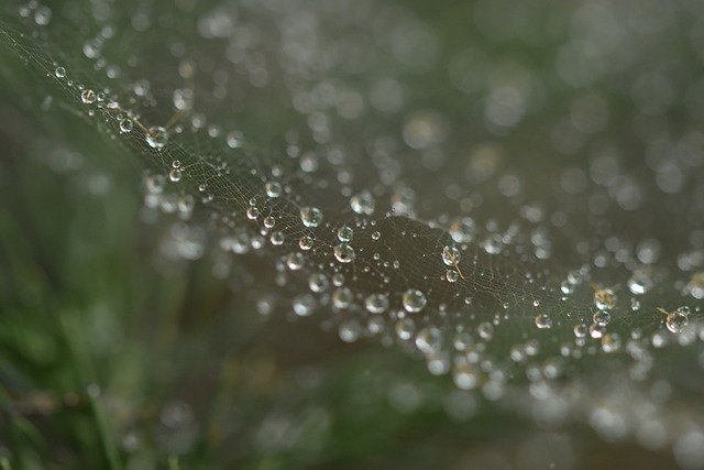 Free download bubble droplets spiderweb rain free picture to be edited with GIMP free online image editor