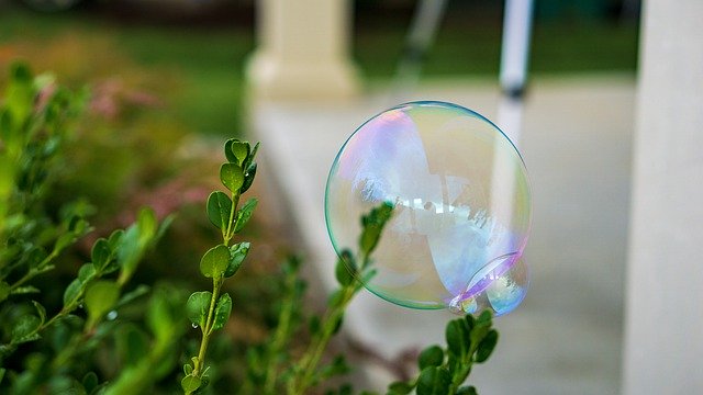 Template Photo Bubble Reflection Bush - para OffiDocs