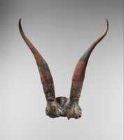 Free download Bucrania skulls with antlers free photo or picture to be edited with GIMP online image editor