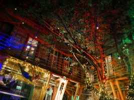 Free download Budapest Nightlife Walls free photo or picture to be edited with GIMP online image editor