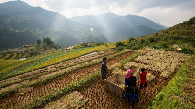 무료 다운로드 Buffalo Farmer Water - 무료 사진 또는 김프 온라인 이미지 편집기로 편집할 수 있는 사진