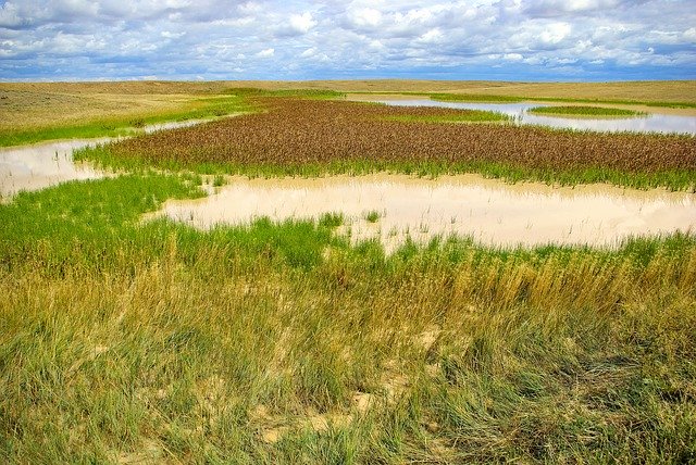 Free download Buffalo Gap Grassland Marsh -  free photo or picture to be edited with GIMP online image editor