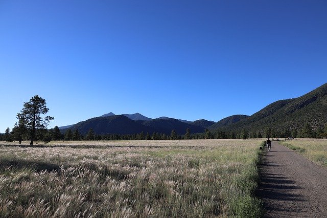 ດາວໂຫລດຟຣີ Buffalo Park Flagstaff - ຮູບພາບຫຼືຮູບພາບທີ່ບໍ່ເສຍຄ່າເພື່ອແກ້ໄຂດ້ວຍບັນນາທິການຮູບພາບອອນໄລນ໌ GIMP