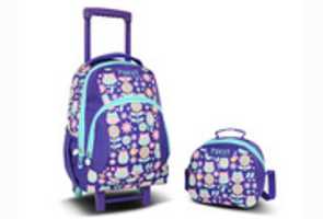 Free download buhos-morado-1 free photo or picture to be edited with GIMP online image editor