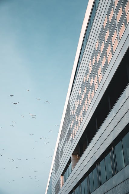 Free download building facade sky birds flock free picture to be edited with GIMP free online image editor