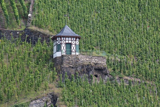 Безкоштовне завантаження Building Vineyard Architecture - безкоштовне фото або зображення для редагування за допомогою онлайн-редактора зображень GIMP