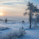 Bulk Theme  screen for extension Chrome web store in OffiDocs Chromium