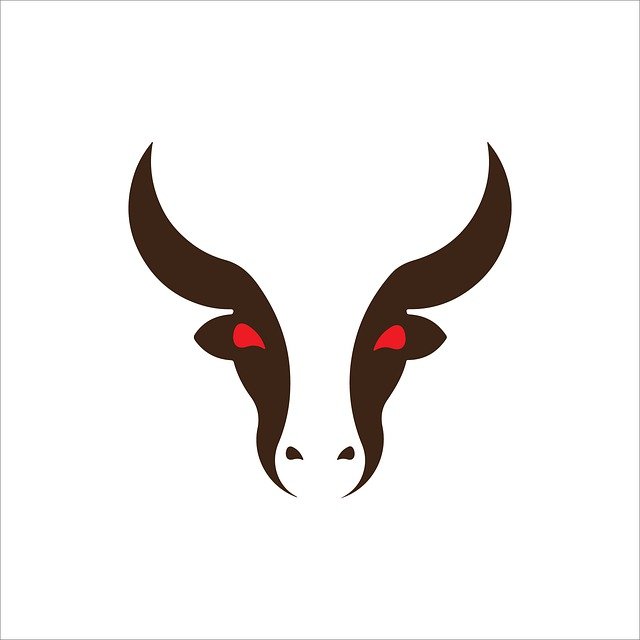 Free download bull cow skull horns head ox free picture to be edited with GIMP free online image editor