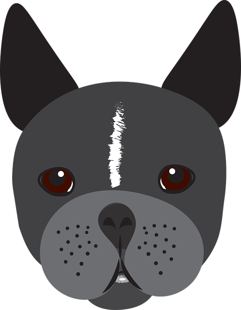 Free download Bulldog Dog Puppy - Free vector graphic on Pixabay free illustration to be edited with GIMP free online image editor
