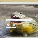 Bullfrog  screen for extension Chrome web store in OffiDocs Chromium