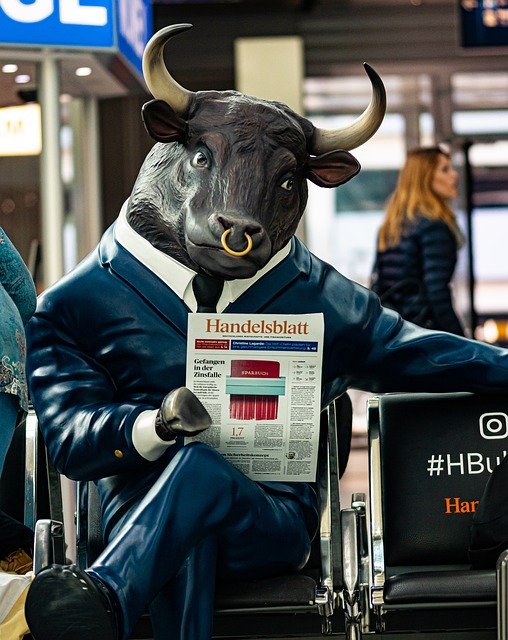 Free download Bull Newspaper Art Airport -  free photo or picture to be edited with GIMP online image editor