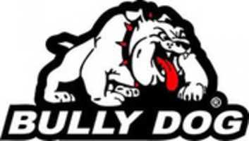 Free download Bully Dog logo - PNG file free photo or picture to be edited with GIMP online image editor