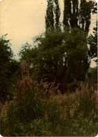 Free download Buncha Lucky Mud generally free photo or picture to be edited with GIMP online image editor