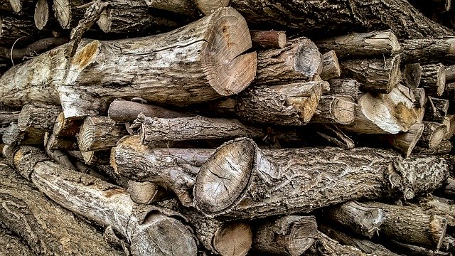 Скачать бесплатно Bunch Of Wood - бесплатное фото или изображение для редактирования с помощью онлайн-редактора изображений GIMP