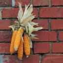 Bunch of yellow corn  screen for extension Chrome web store in OffiDocs Chromium