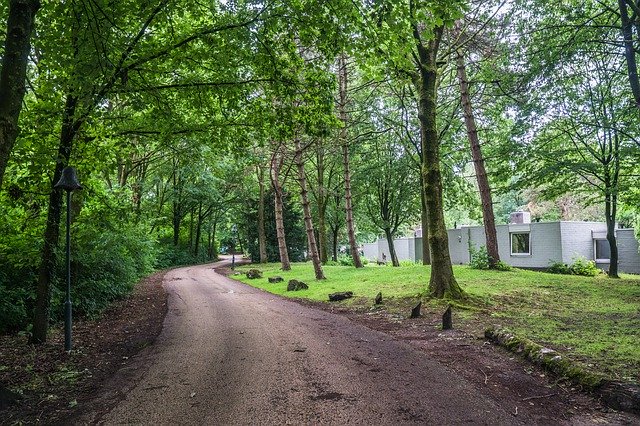 ดาวน์โหลดฟรี Bungalows Trees Tree - รูปถ่ายหรือรูปภาพฟรีที่จะแก้ไขด้วยโปรแกรมแก้ไขรูปภาพออนไลน์ GIMP