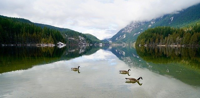 Download grátis Buntzen Lake British Columbia - foto ou imagem gratuita a ser editada com o editor de imagens online GIMP
