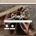 Buom Dem  screen for extension Chrome web store in OffiDocs Chromium