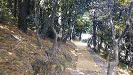 Free download Busan Taejongdae Nature -  free video to be edited with OpenShot online video editor