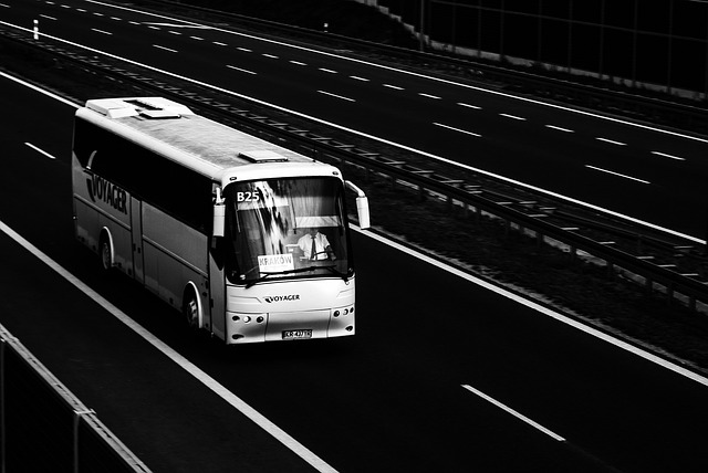 Free download bus bova futura bova futura free picture to be edited with GIMP free online image editor