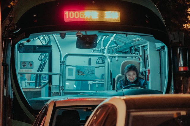 Free download bus driver woman happy smile free picture to be edited with GIMP free online image editor