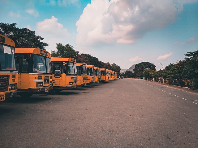 Free download buses bus road cloud trees path free picture to be edited with GIMP free online image editor