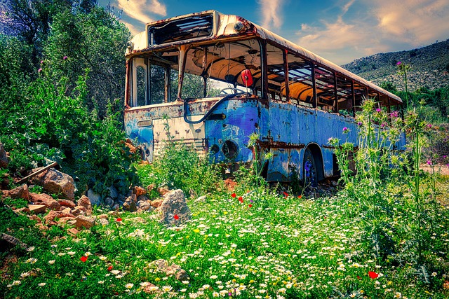 Free download bus garden abandoned bus automobile free picture to be edited with GIMP free online image editor
