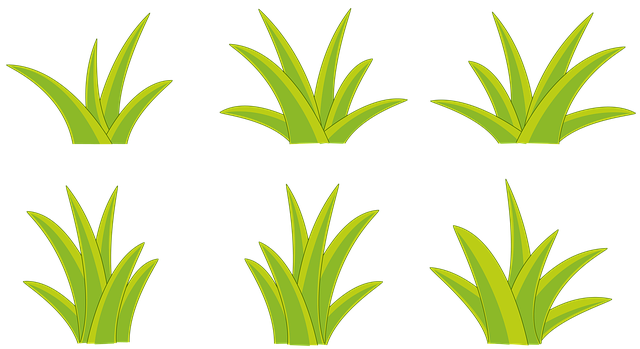 Free download Bush Bushes Nature -  free illustration to be edited with GIMP free online image editor