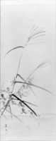 Free download Bush Clover, Grass and Cricket free photo or picture to be edited with GIMP online image editor