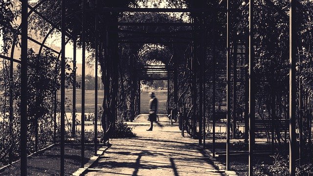 Free download Business Man Garden Hurry -  free photo or picture to be edited with GIMP online image editor