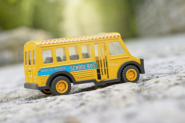 Free download bus school bus transport free picture to be edited with GIMP free online image editor