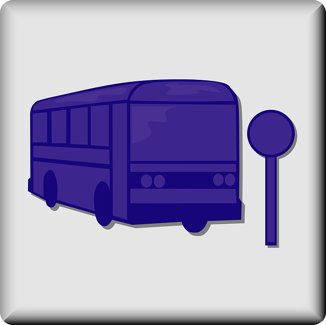 Free download Bus Stop Transportation - Free vector graphic on Pixabay free illustration to be edited with GIMP free online image editor