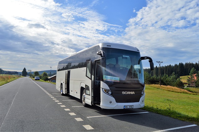 Free download bus tour bus trip travel agency free picture to be edited with GIMP free online image editor