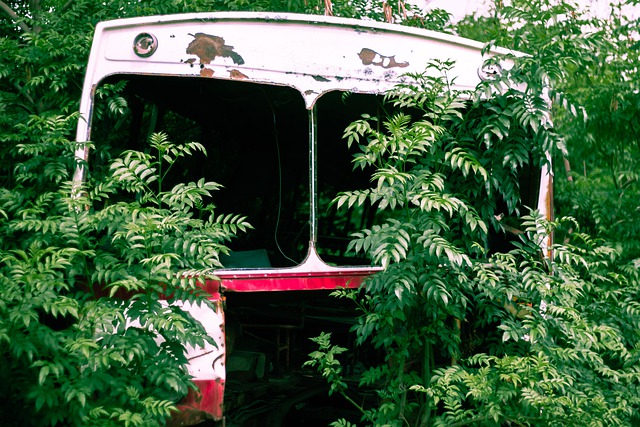 Free download bus transport abandoned old nature free picture to be edited with GIMP free online image editor