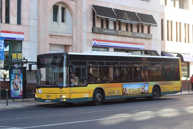 Free download bus vehicle road street free picture to be edited with GIMP free online image editor
