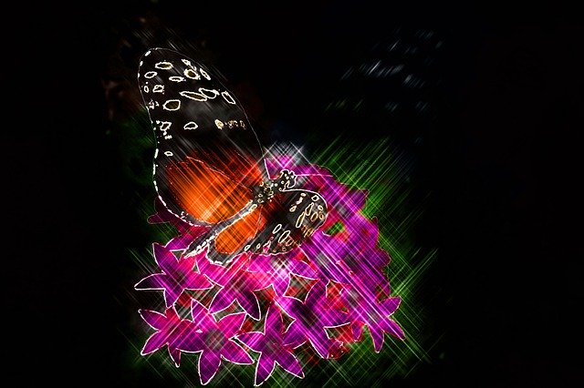 Free download Butterfly Art Artistic -  free illustration to be edited with GIMP free online image editor