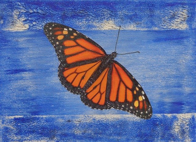 Free download Butterfly Blue Flying -  free illustration to be edited with GIMP free online image editor