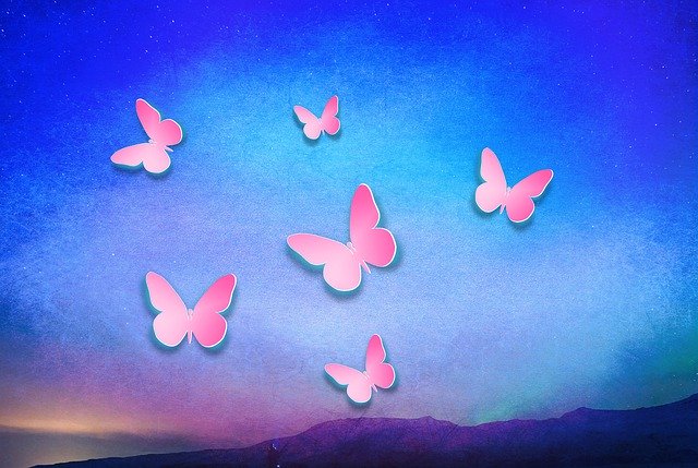 Free download Butterfly Blue Rose -  free illustration to be edited with GIMP free online image editor